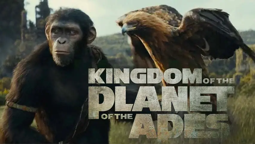 Movie 9